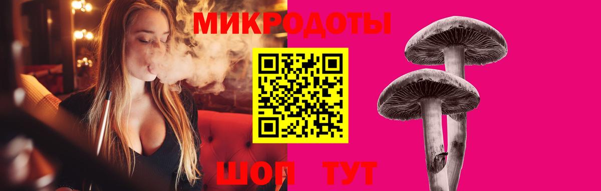 Ростов Великий  Галлюциногенные грибы Psilocybine cubensis  Вход с VPN 
